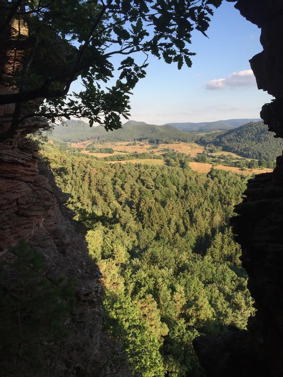 Fewo-Franca Dahn Esterno foto